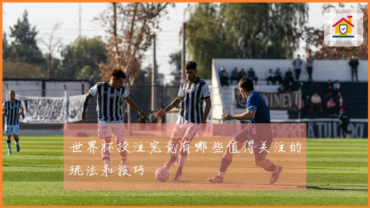 世界杯投注究竟有哪些值得关注的玩法和技巧