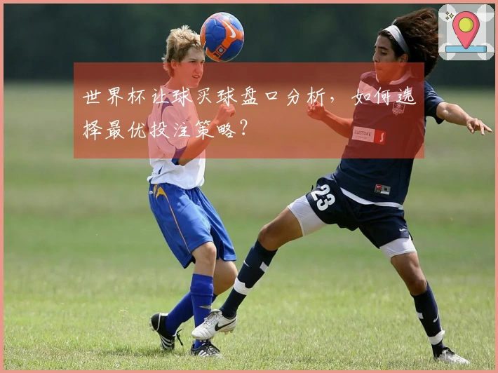 世界杯让球买球盘口分析，如何选择最优投注策略？