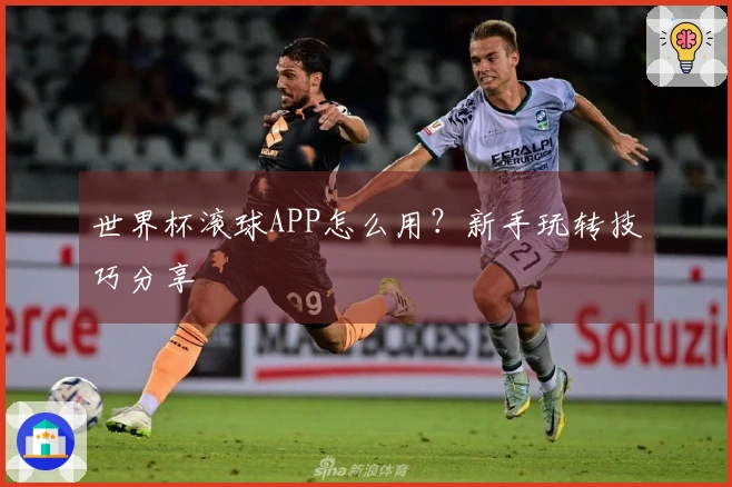 世界杯滚球APP怎么用？新手玩转技巧分享