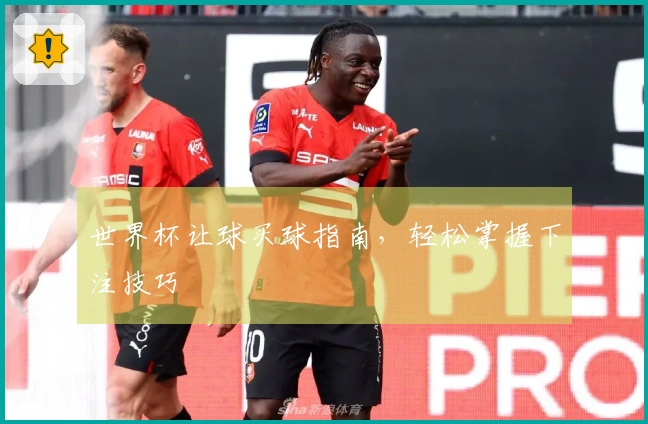 世界杯让球买球指南，轻松掌握下注技巧