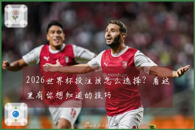 2026世界杯投注该怎么选择？看这里有你想知道的技巧