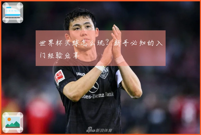 世界杯买球怎么玩？新手必知的入门经验分享